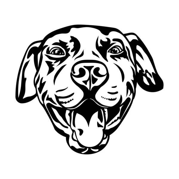 Собака Питбуль Черный Рисунок Силуэта Векторная Иллюстрация — стоковый вектор