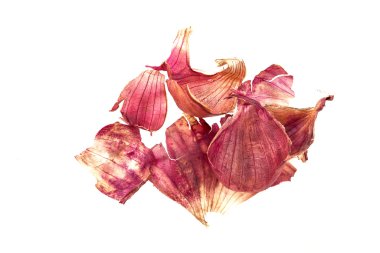  beyaz kabuk soğancık 's