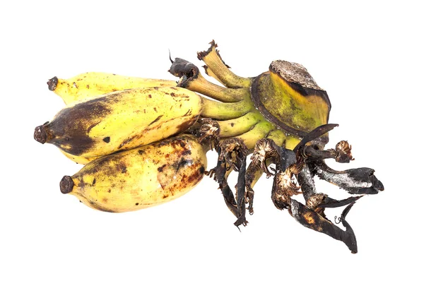 Rijpe banaan — Stockfoto