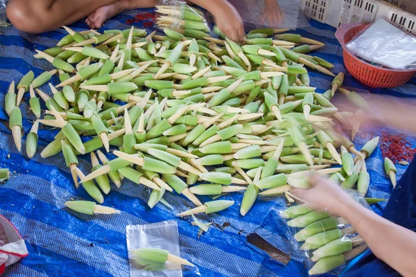 Peeled baby corn — Stock Photo, Image