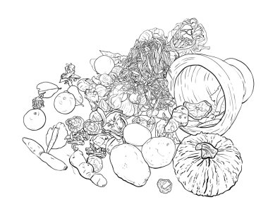 Natürmort gıda ve sebze çizim. vektör