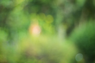 Soyut yeşil arkaplan 