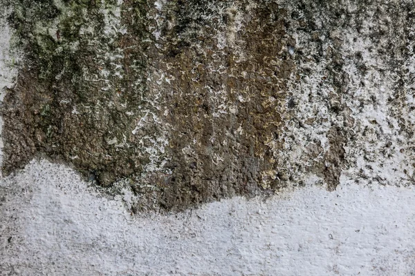 テクスチャのセメントの壁の背景 — ストック写真