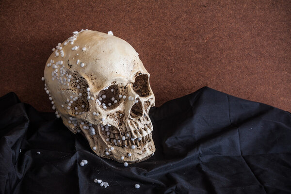 Череп человека с винтажным фоном
