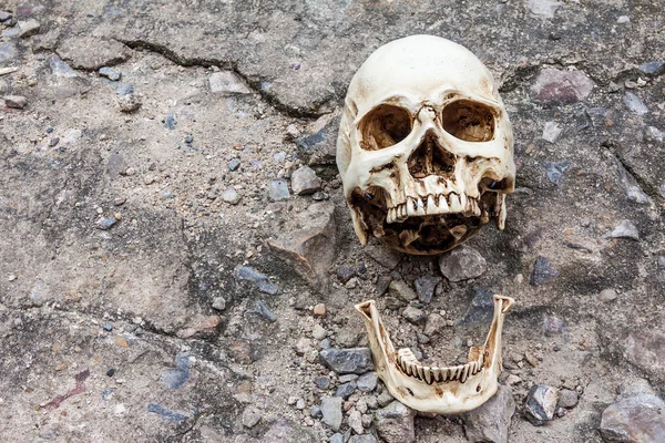 Menselijke schedel, gescheiden kaak, op spleet cement street — Stockfoto