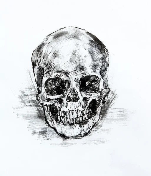 Drawing black and white of  human skull — Stock Photo, Image