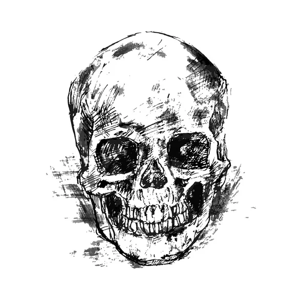 Dessin crâne humain sur blanc — Image vectorielle