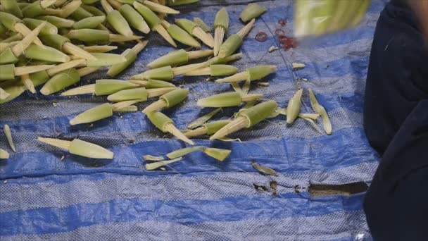 Arrangement baby corn in plastic bag — Stock Video