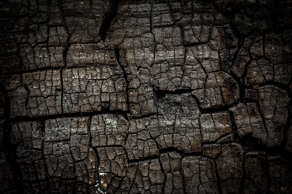 Close up of burn log — Stock Photo, Image