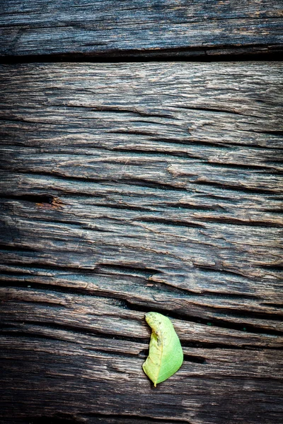 Texture and color of old log with small green leaf Royalty Free Stock Photos