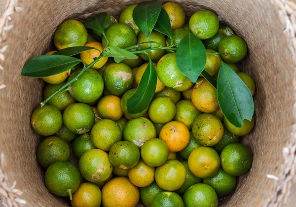 Lime in cesto di vimini — Foto Stock