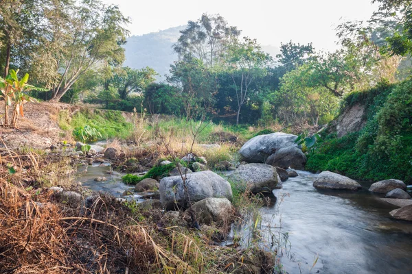 Natura piccola cascata con roccia — Foto Stock