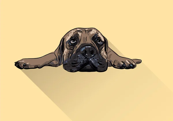 Dibujo del bullmastiff mentiroso — Vector de stock