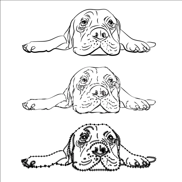 Menggambar bullmastiff berbohong Stok Vektor Bebas Royalti