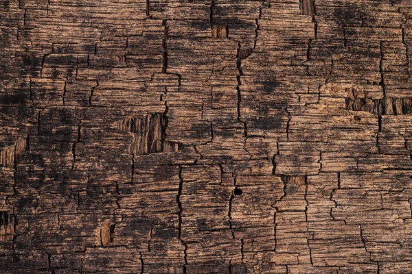 Crack bordo di legno — Foto Stock