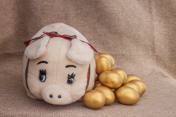 Cute pig doll closed to golden easter egg — Stock Photo, Image