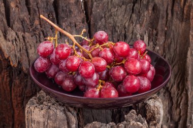 Kırmızı üzüm plaka oturum