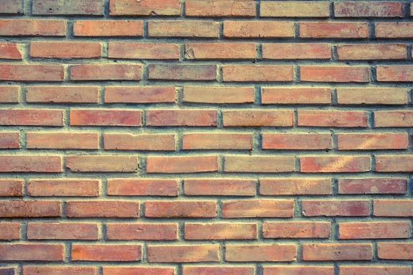 Brick wall — Stock Photo, Image