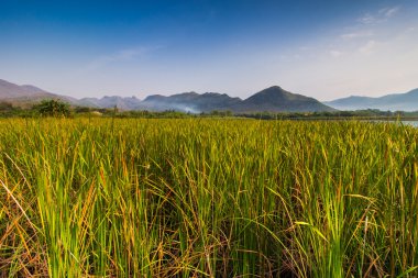 Dağ ve gökyüzü manzaralı rezervuar yakın bambu köprü