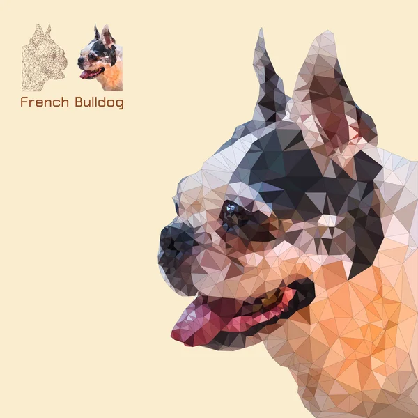 French bulldog Stock Vectors, Royalty Free French bulldog Illustrations ...