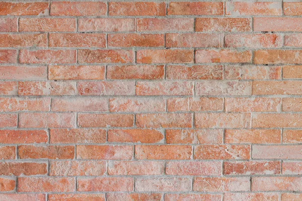 Brick wall — Stock Photo, Image