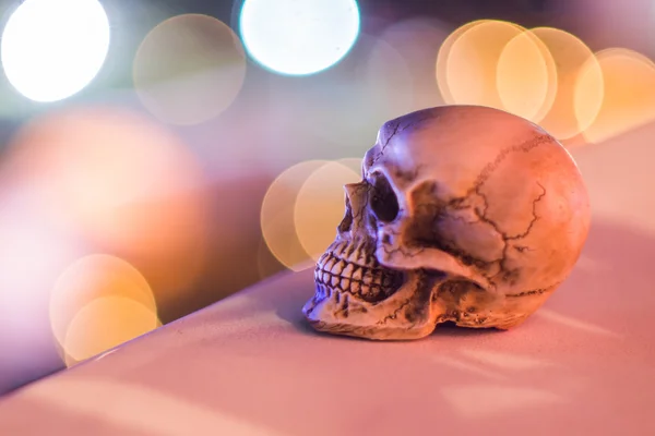 Skull with light bokeh background — Stock Photo, Image
