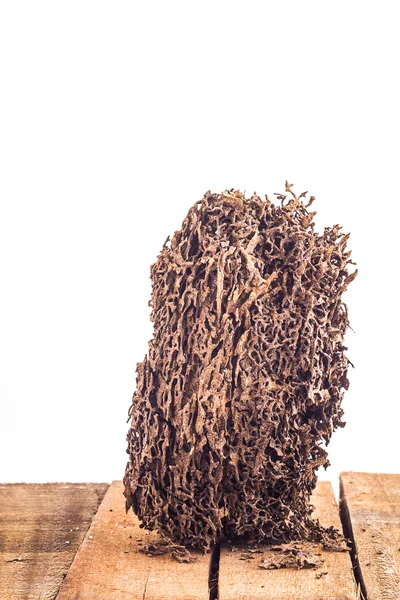 Pezzo di legno danneggiato e mangiato dalle termiti — Foto Stock