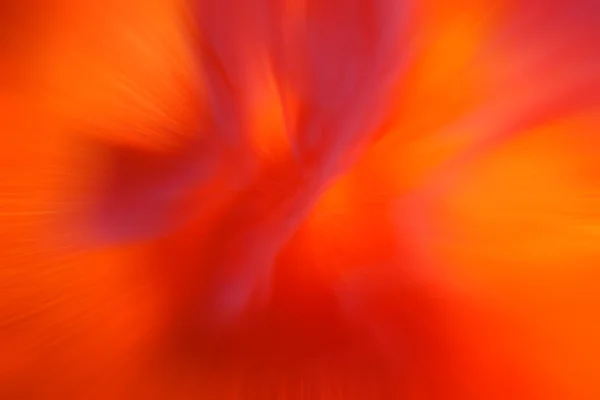 Roter Hintergrund verschwimmen — Stockfoto