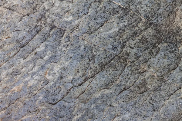 Textura de cerca de roca —  Fotos de Stock