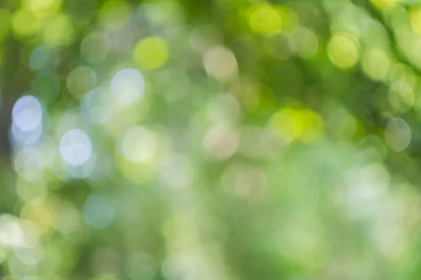Abstract green bokeh background — Stock Photo, Image
