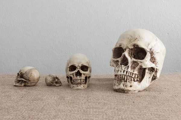 Set of skulls on sack cloth — Stok fotoğraf