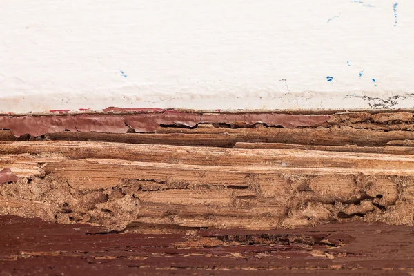 Poutre en bois de la porte endommagée par les termites — Photo