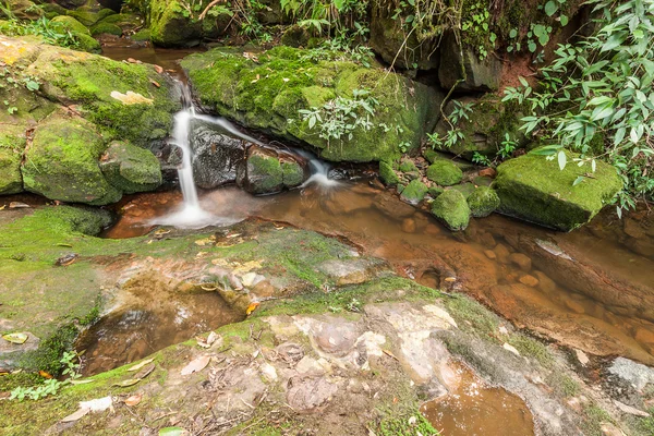 Naturen litet vattenfall med sten och mossa — Stockfoto