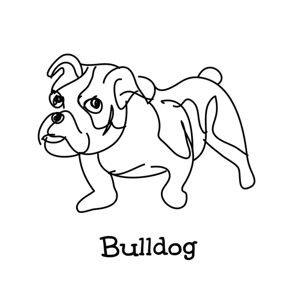 Doodle Dibujo Bulldog Joven Sobre Fondo Blanco — Archivo Imágenes Vectoriales