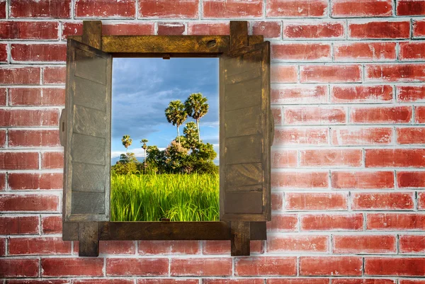 Woonden okno na cihlové zdi s rýží pole zobrazení — Stock fotografie