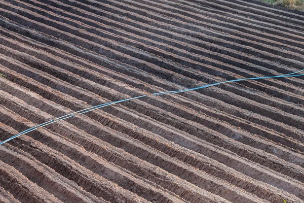 Horta Preparar Para Novo Cultivo Tailândia — Fotografia de Stock