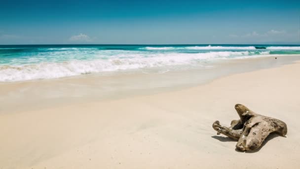 Playa del océano con viejo enganche — Vídeos de Stock