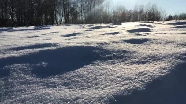 Snowy field on a sunny day — Wideo stockowe