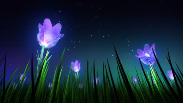 夜的花朵循环 — 图库视频影像