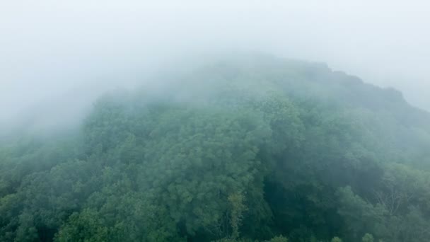 Швидкі хмари над деревами — стокове відео