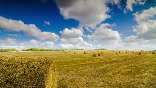 Haystacks On The Field Under The Clouds Time Lapse — Stock Video