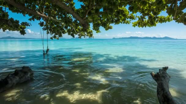 Grüner Baum mit Schaukel und Meer — Stockvideo