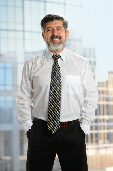 Senior Businessman With Beard — Stock Photo, Image