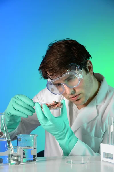 Young Scientist Testing MEat — Stock Photo, Image