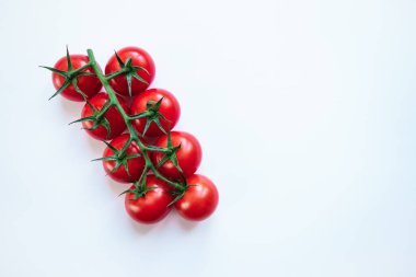 red tomatoes on a branch on a white background. copy space 