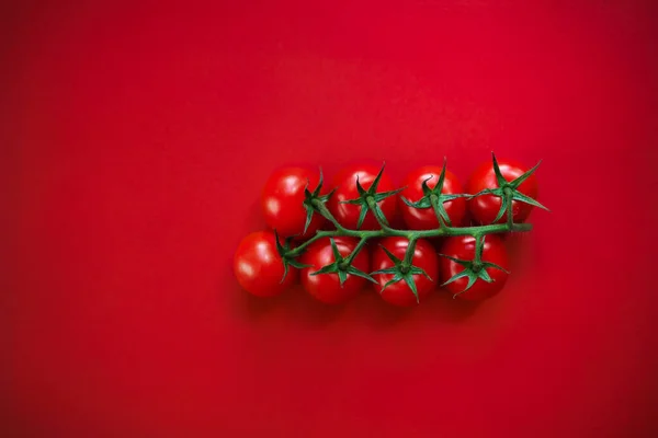 Czerwone Pomidory Gałęzi Czerwonym Tle — Zdjęcie stockowe