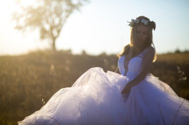 Gelin buğday, çavdar alan arka plan.