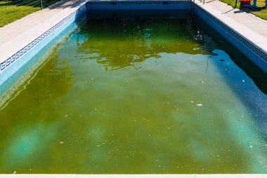 Abandoned swimming pool with green rotten water outdoors. clipart