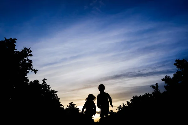 Dwóch Braci Biegnie Razem Przez Pole Między Drzewami Zachodzie Słońca — Zdjęcie stockowe