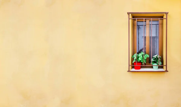 Vertical Image Facade Rural House Barred Window Flowerpots Lots Negative — Stock Photo, Image